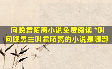 向晚君陌离小说免费阅读 *叫向晚男主叫君陌离的小说是哪部